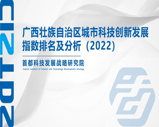 啊啊啊艹哭了【成果发布】广西壮族自治区城市科技创新发展指数排名及分析（2022）